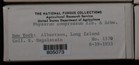 Image Associated With the Occurence